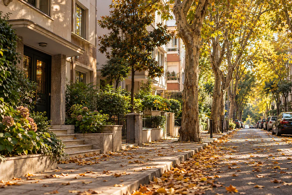Göztepe'de çınar ağaçlı sakin bir sokak, sonbahar
